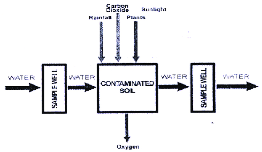 Eksploitasi Tambang Ancaman Serius Ekosistem 