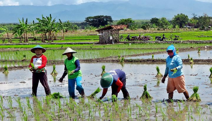 Letak Indonesia Anugerah atau Bencana? Fakta yang Perlu Lo Tau di 2025! 🌏