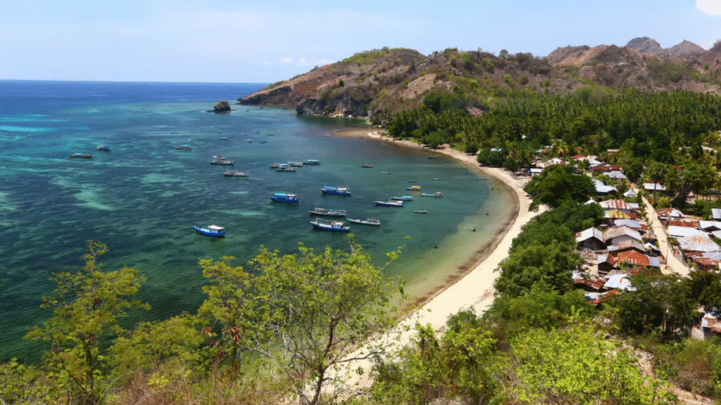 Topografi Maumere Flores Letak Geografis Kota 2025: Kenali Kota Pelabuhan di Jantung NTT!