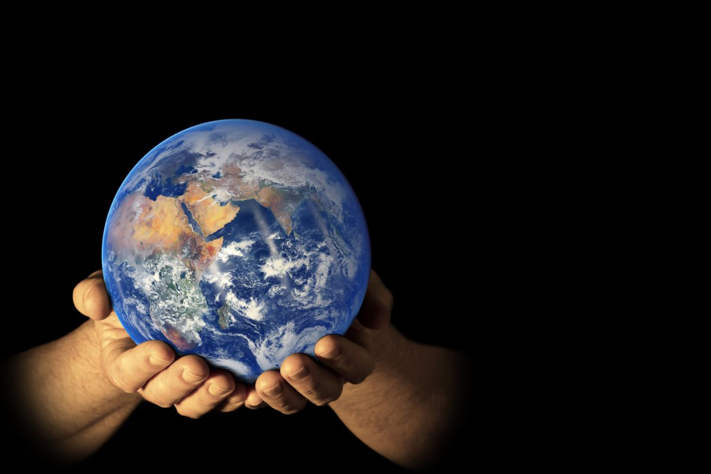 80% Lautan dan 60% Hutan Tropis Dunia